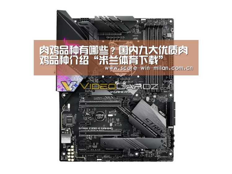 米兰体育下载