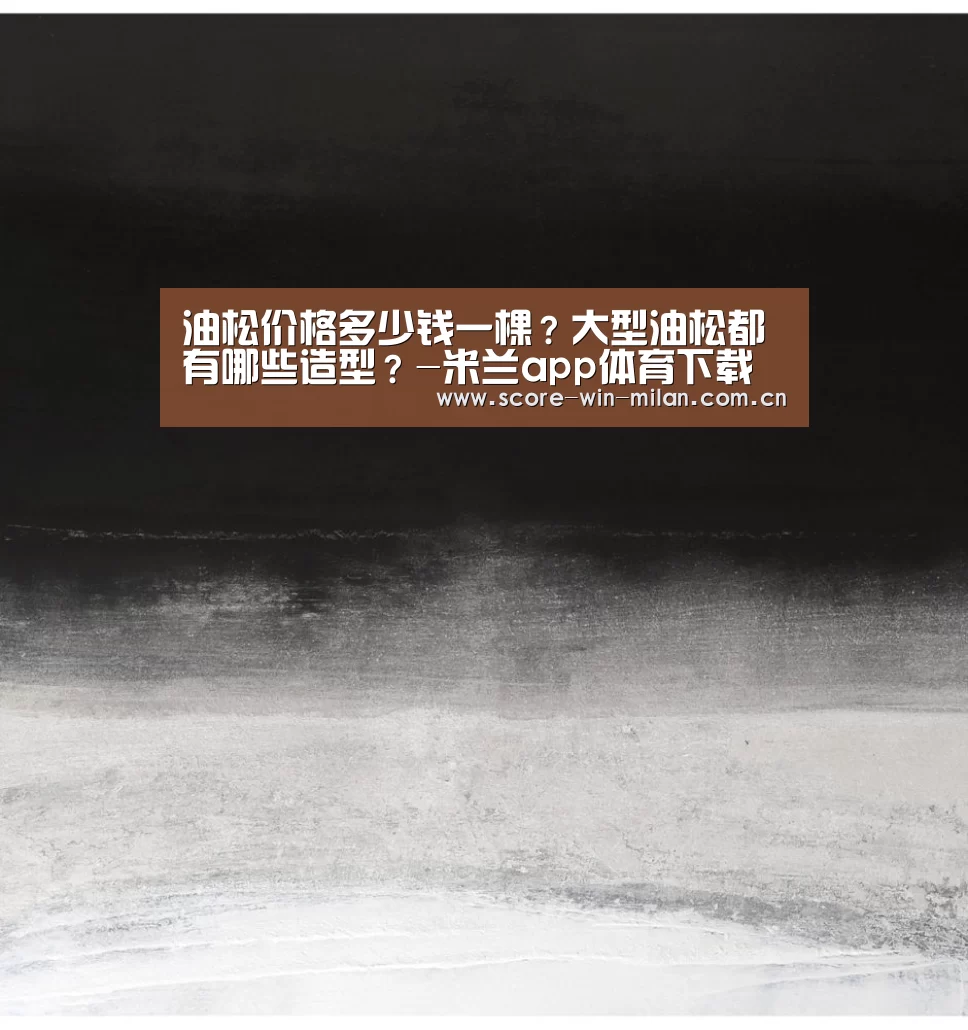 油松价格多少钱一棵?大型油松都有哪些造型?-米兰app体育下载(图1) 米兰体育下载