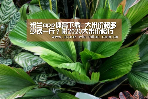 米兰体育下载