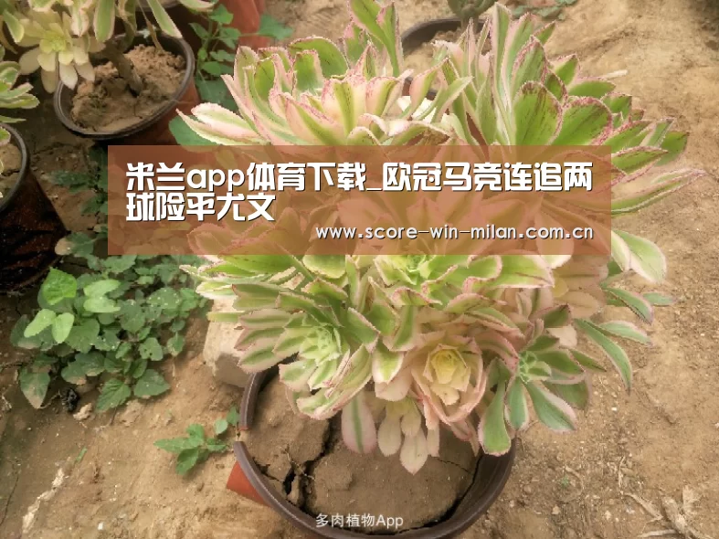 米兰app体育下载_欧冠马竞连追两球险平尤文(图2) 米兰app体育下载