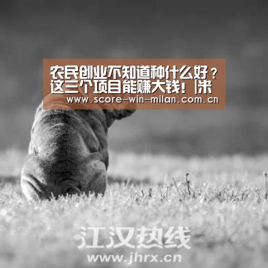 农民创业不知道种什么好?这三个项目能赚大钱!|米兰体育下载(图3) 米兰体育下载