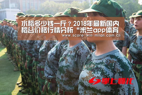 水稻多少钱一斤?2018年最新国内稻谷价格行情分析“米兰app体育下载”(图3) 米兰app体育下载