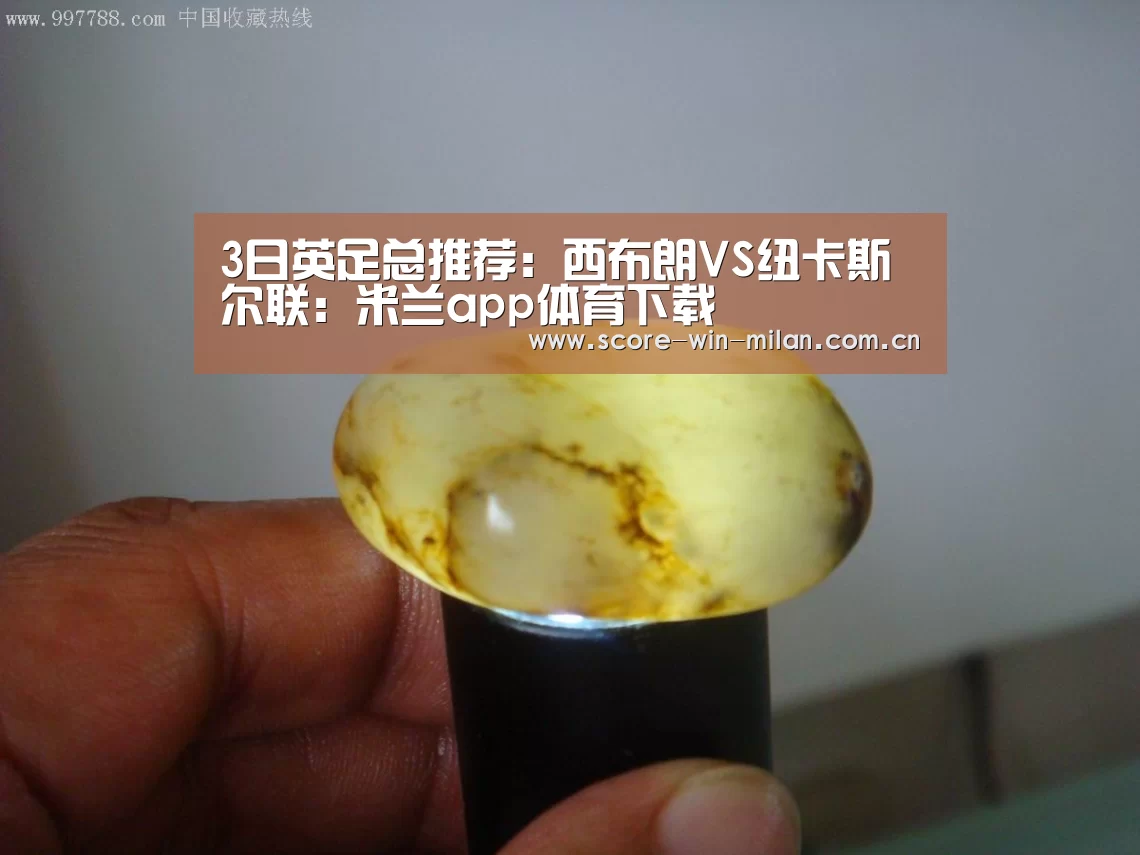 3日英足总推荐:西布朗VS纽卡斯尔联:米兰app体育下载(图1) 米兰体育下载